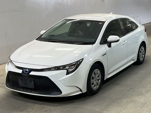 2019 TOYOTA Corolla Sedan