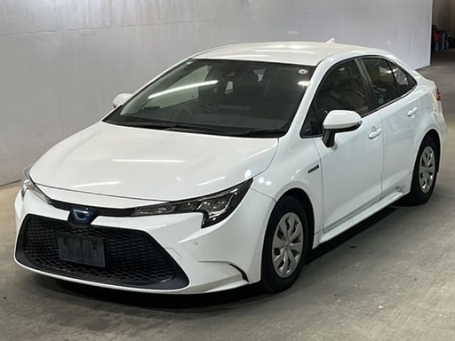 2019 TOYOTA Corolla Sedan