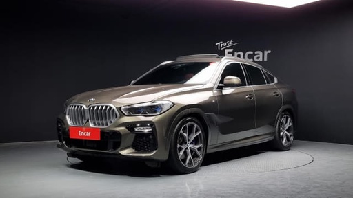2021 BMW X6