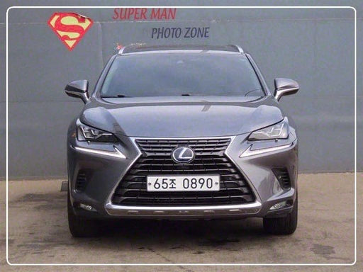 2019 LEXUS NX