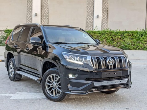 2019 TOYOTA Land Cruiser Prado