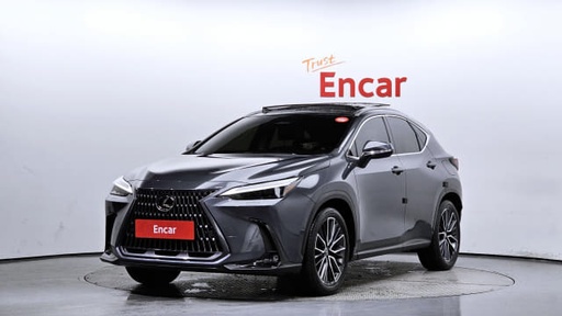 2024 LEXUS NX