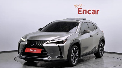 2019 LEXUS UX