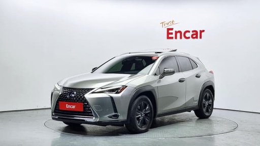 2019 LEXUS UX