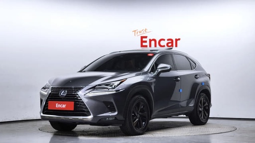 2019 LEXUS NX