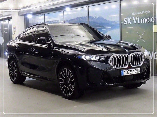 2024 BMW X6