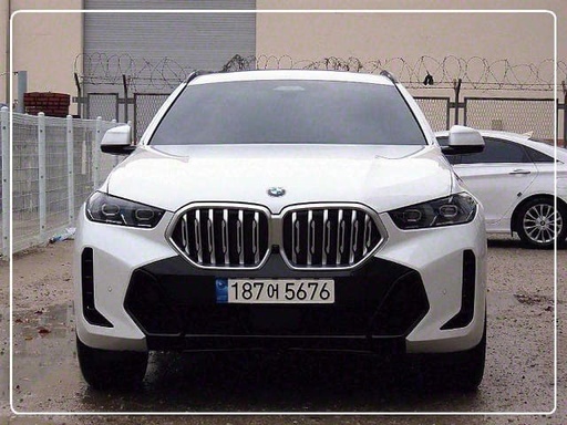 2024 BMW X6