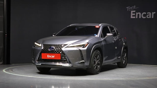2020 LEXUS UX