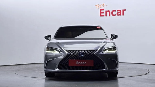 2019 LEXUS ES