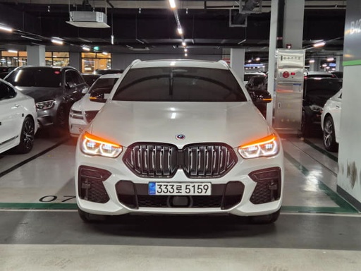 2023 BMW X6