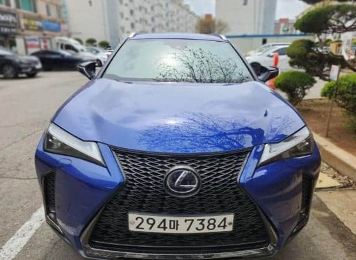 2020 LEXUS UX