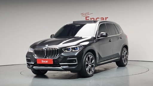 2023 BMW X5