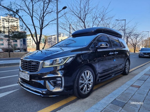 2019 KIA Carnival, 
