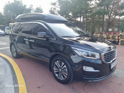 2019 KIA Carnival