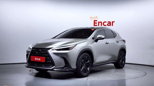 2024 LEXUS NX