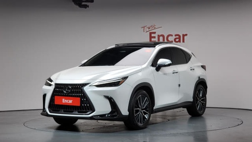 2025 LEXUS NX