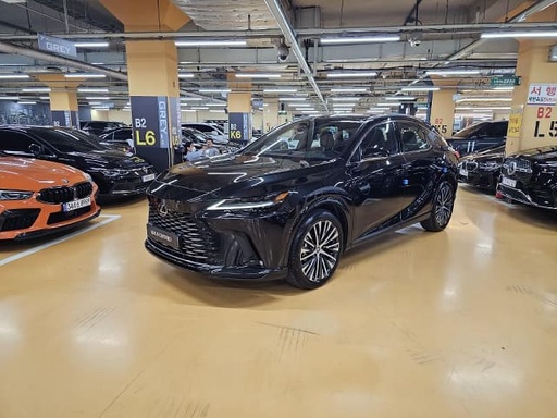 2024 LEXUS RX