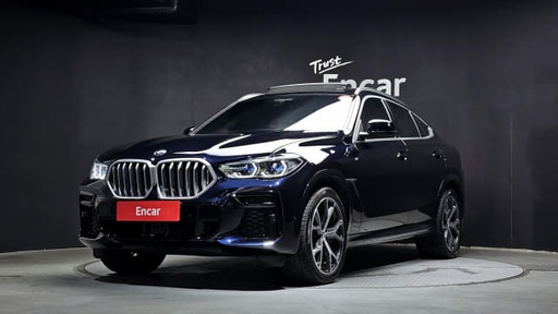 2023 BMW X6