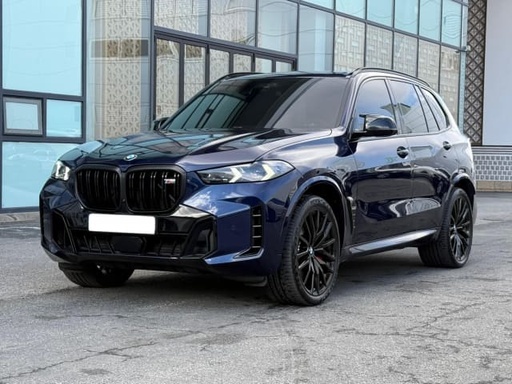 2024 BMW X5, 