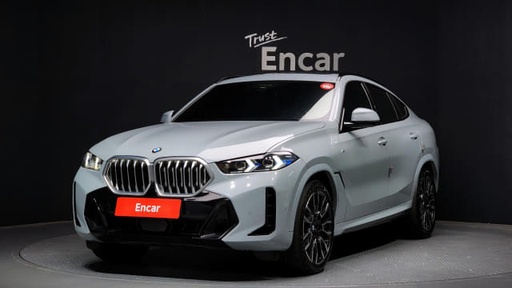 2024 BMW X6