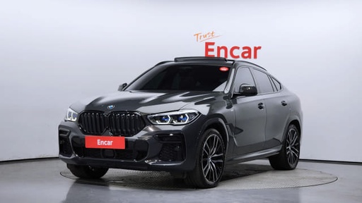 2023 BMW X6