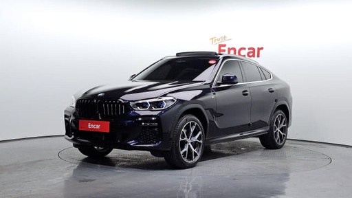 2023 BMW X6