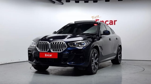 2023 BMW X6