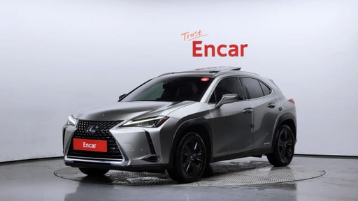 2019 LEXUS UX