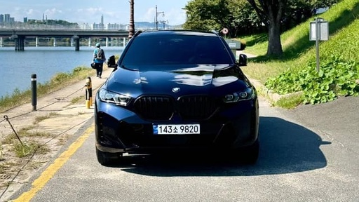 2024 BMW X6