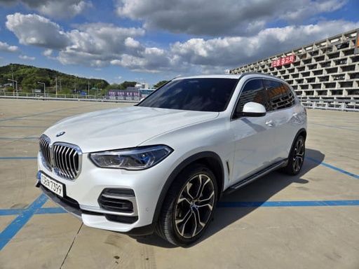 2022 BMW X5, 