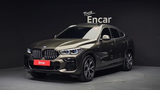 2023 BMW X6