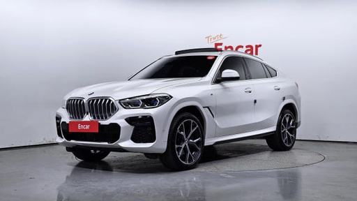 2023 BMW X6