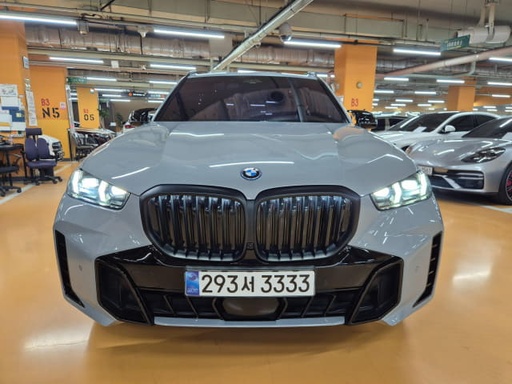 2025 BMW X5