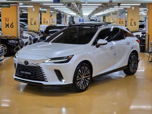 2024 LEXUS RX