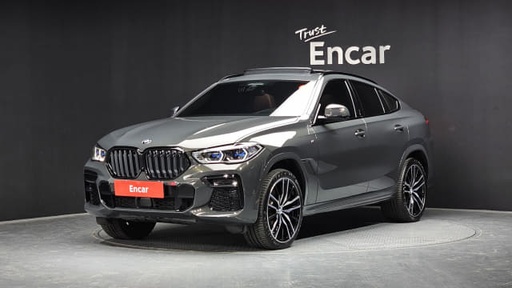 2023 BMW X6