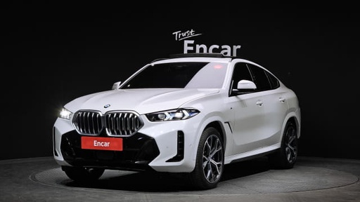 2024 BMW X6