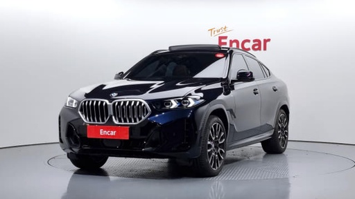 2024 BMW X6