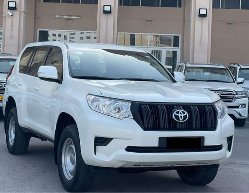 2019 TOYOTA Prado