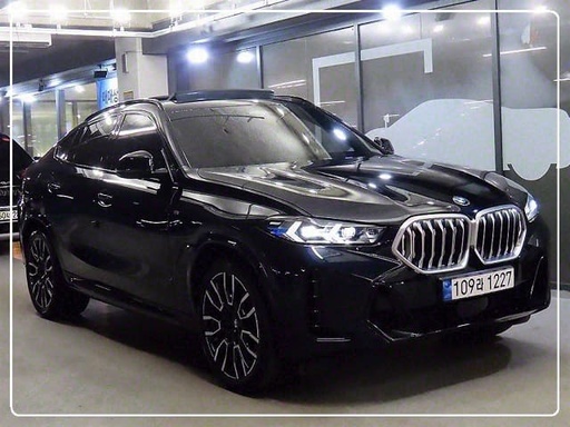 2023 BMW X6