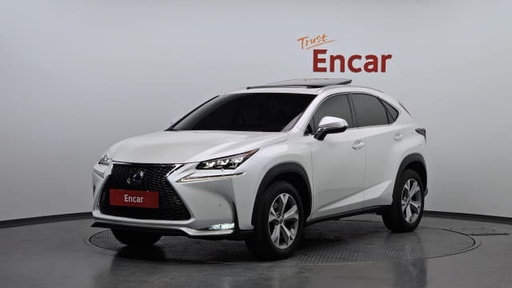 2017 LEXUS NX