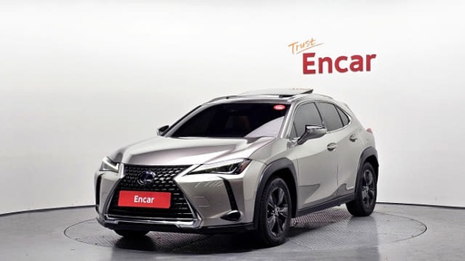 2019 LEXUS UX