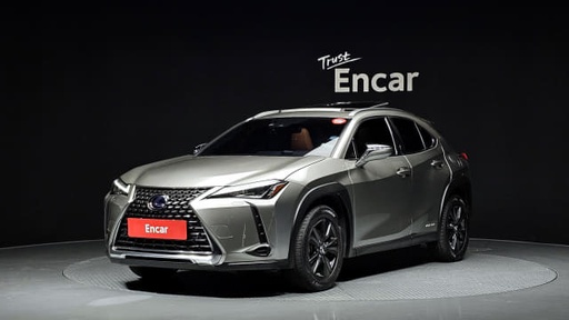 2020 LEXUS UX