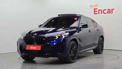 2024 BMW X6