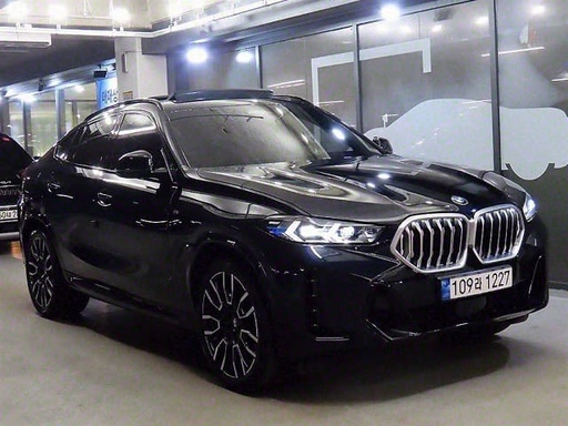2024 BMW X6