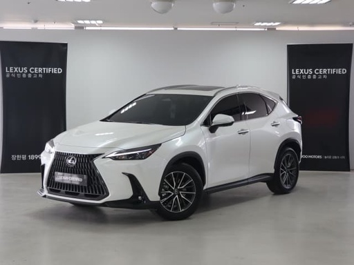 2025 LEXUS NX