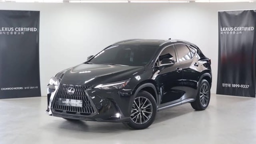 2025 LEXUS NX, 