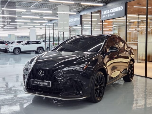 2025 LEXUS NX