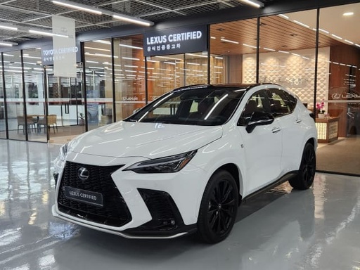 2025 LEXUS NX