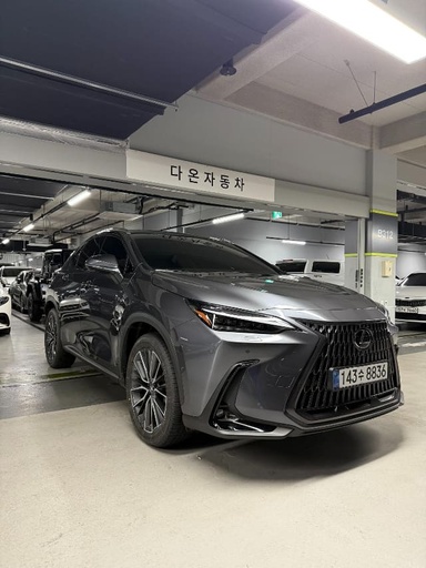 2025 LEXUS NX