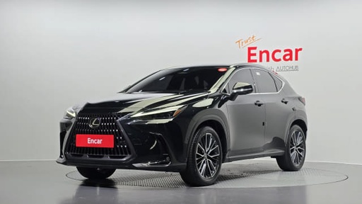 2024 LEXUS NX, 